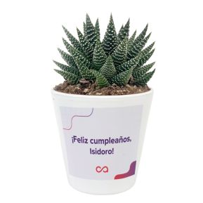 Planta Tecalis 